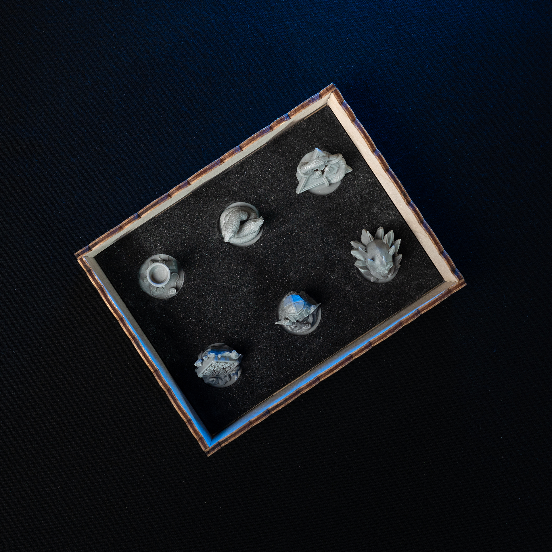 Witcher: Path of Destiny Expansion Organizer