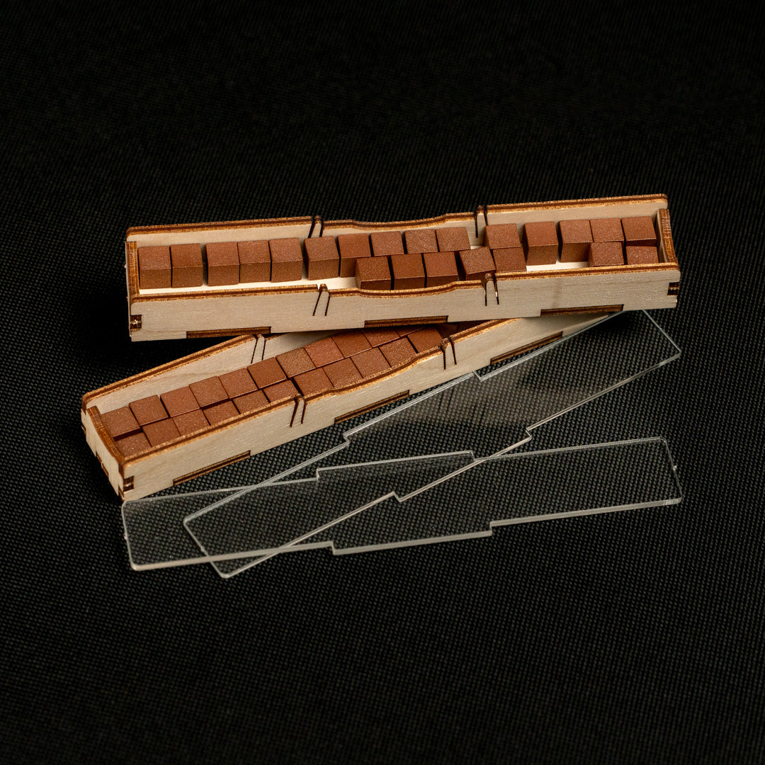 Wyrmspan Dragon Academy Upgrade Kit