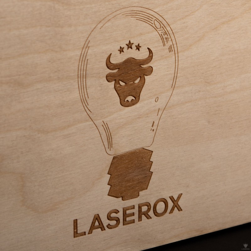 Laserox Sortiereinsatz Human Organizer für Human Punishment 
