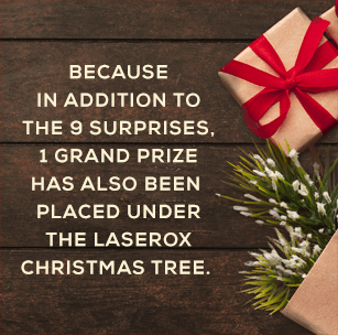 Because in addition to the 9 surprises, 1 Grand Prize has also been placed under the Laserox Christmas tree.